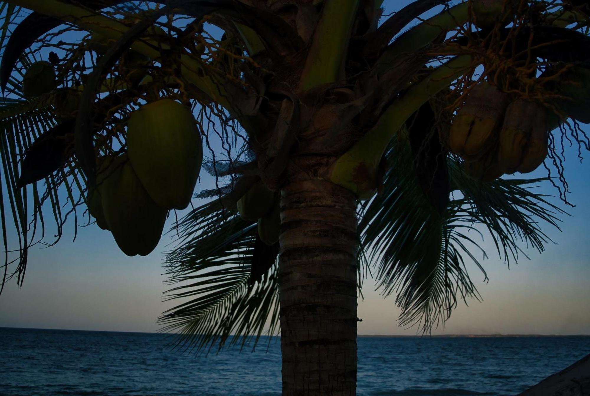 Avo Boutique Hotel Dikoni Bagian luar foto
